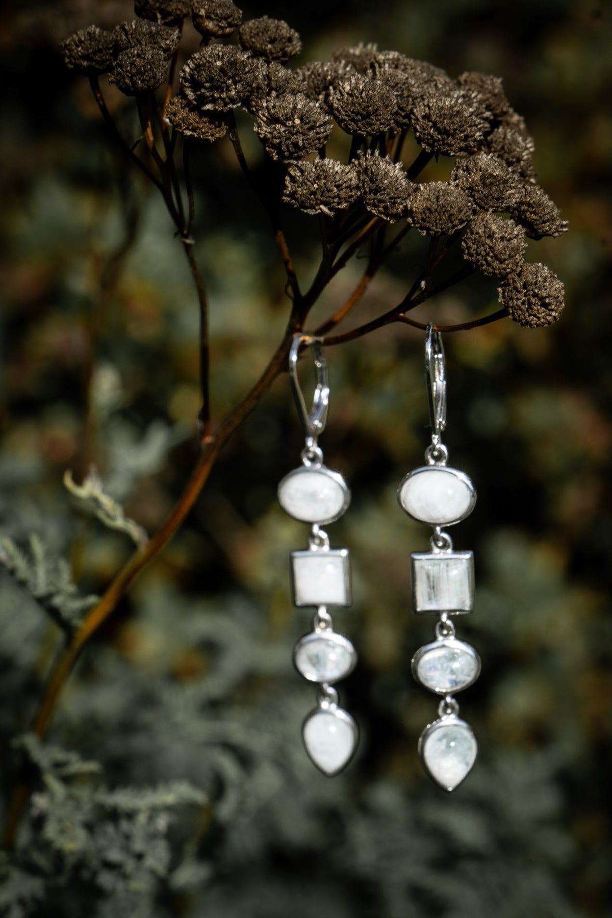 Moonstone dangle earrings