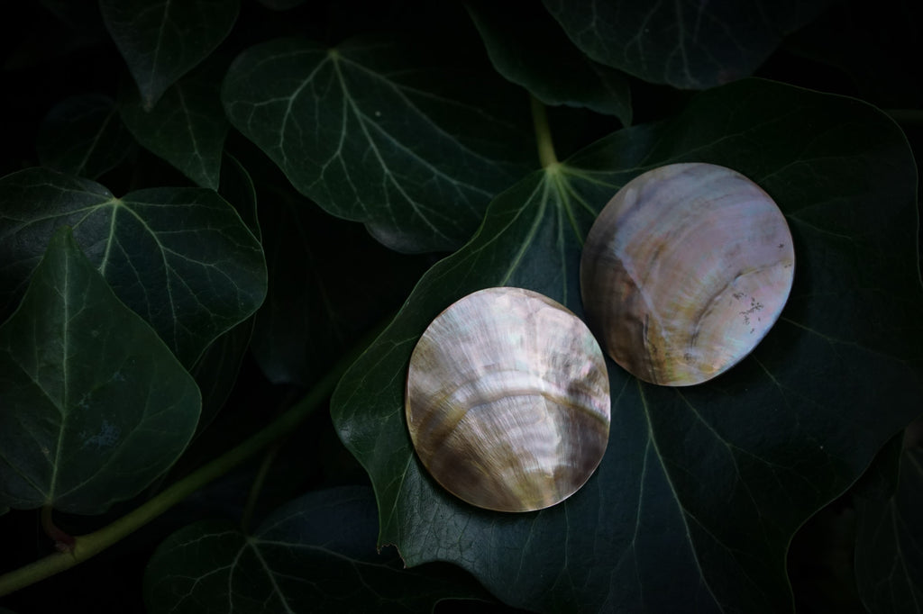 Large shell studs editorial photograph