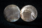 Large shell studs detail photograph