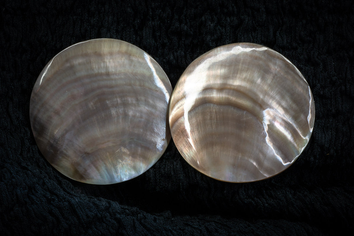 Large shell studs detail photograph