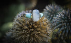 Moonstone and larimar ring editorial photograph