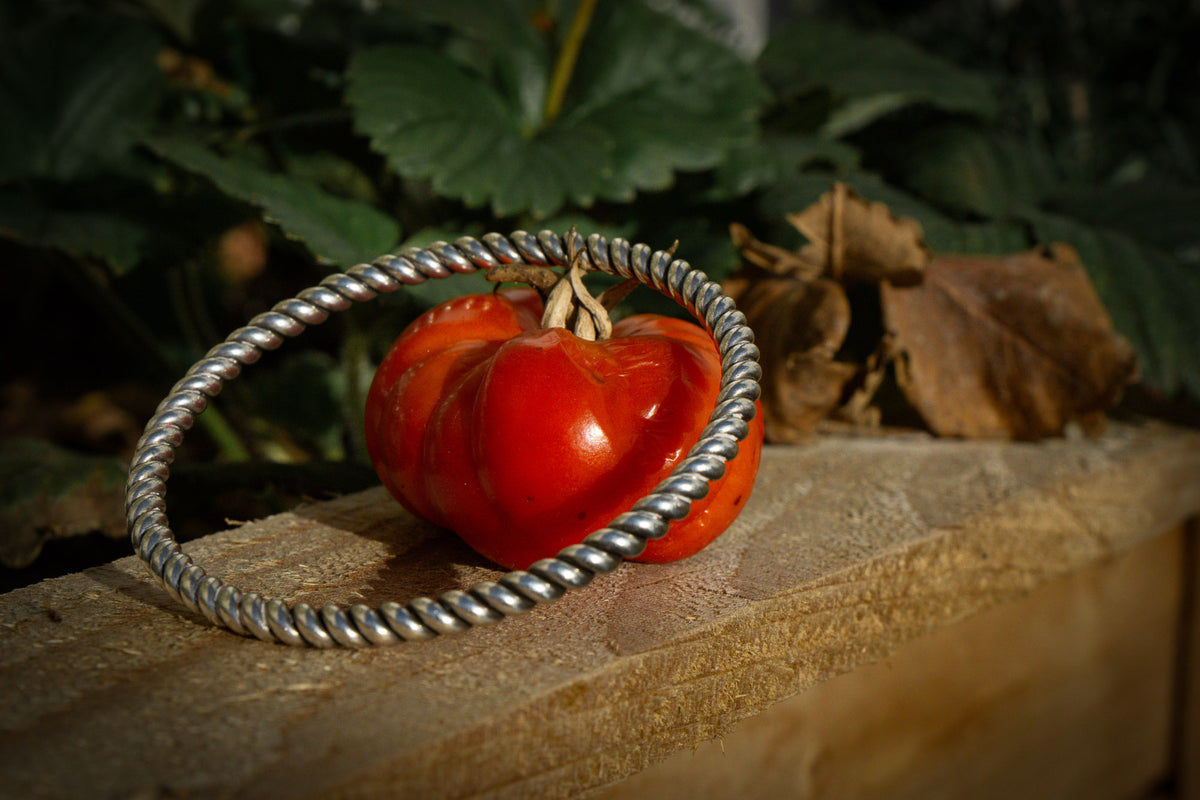 Spiral bangle editorial photograph