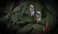 OXO dangle earrings editorial photograph