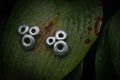 Circle brutalist studs editorial photograph