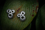 Circle brutalist studs editorial photograph