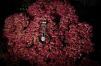 Drop encircled CZ pendant editorial photograph