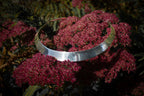 Silver collar editorial photograph