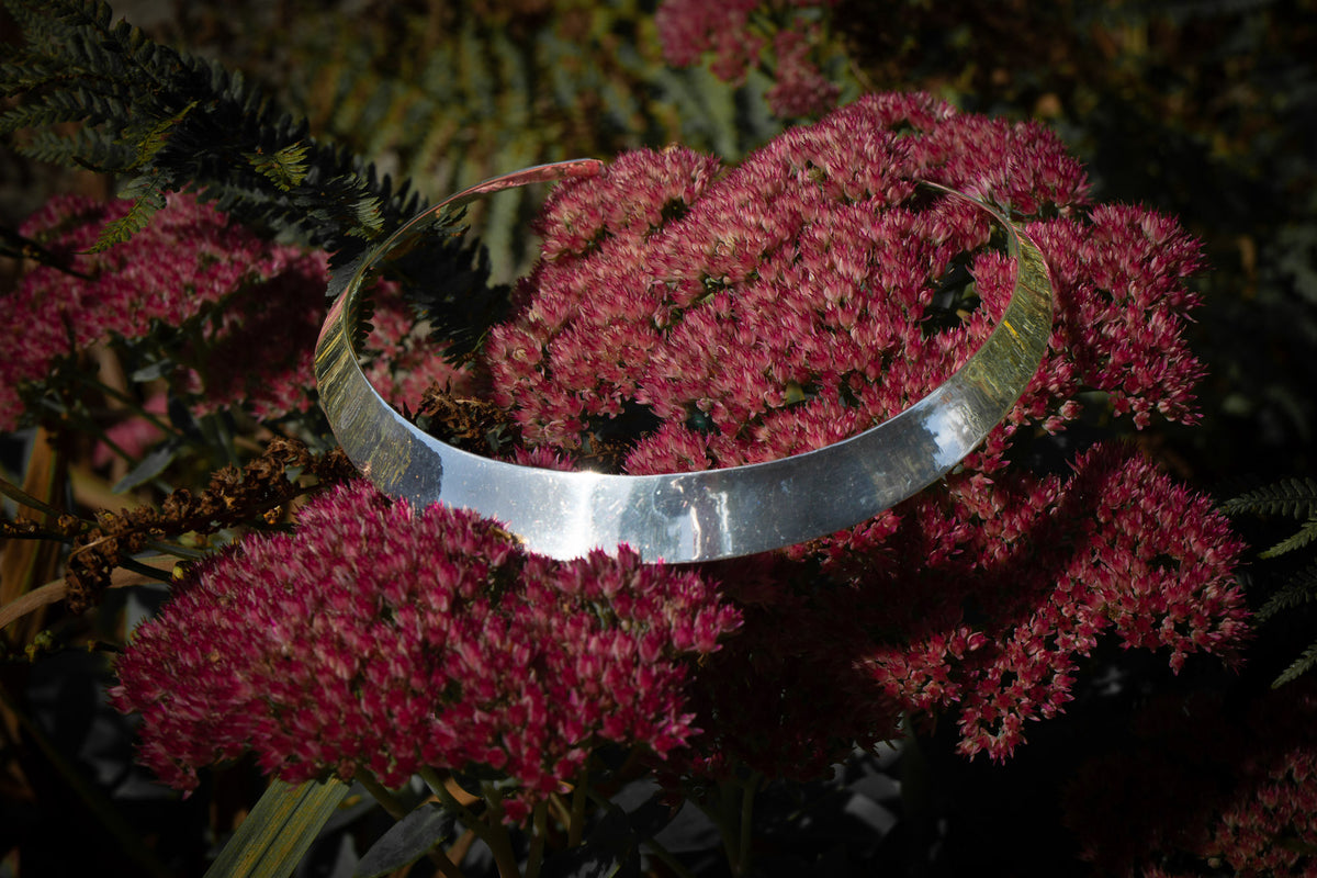 Silver collar editorial photograph
