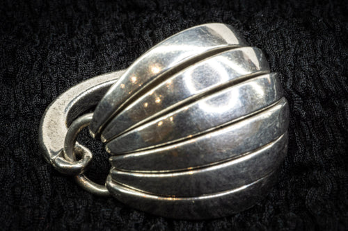 Articulated armadillo ring detail photograph