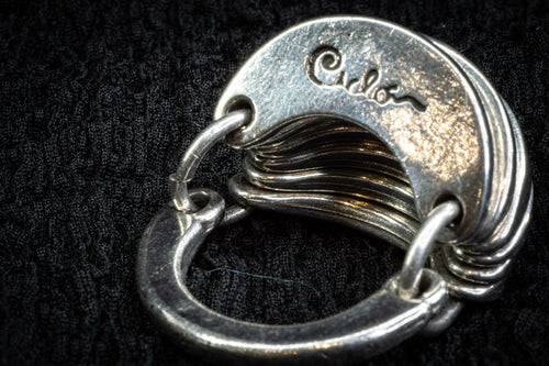 Articulated armadillo ring detail photograph